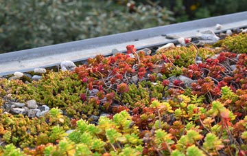 the cost of Pentre Morgan green roof installation